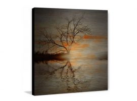 ब्रश किया हुआ एल्युमीनियम