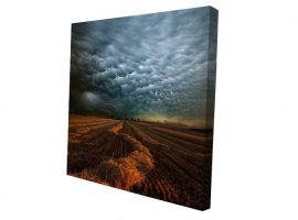 पहले से फैला हुआ कैनवस